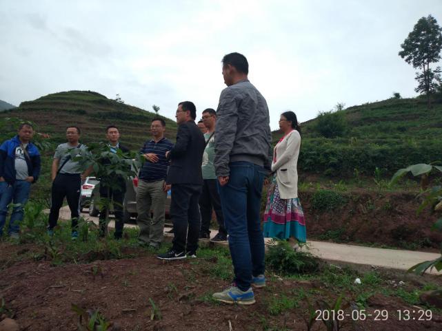 QQ图片20180531104814