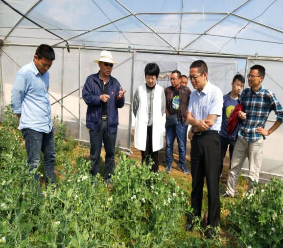 QQ图片20180423103427