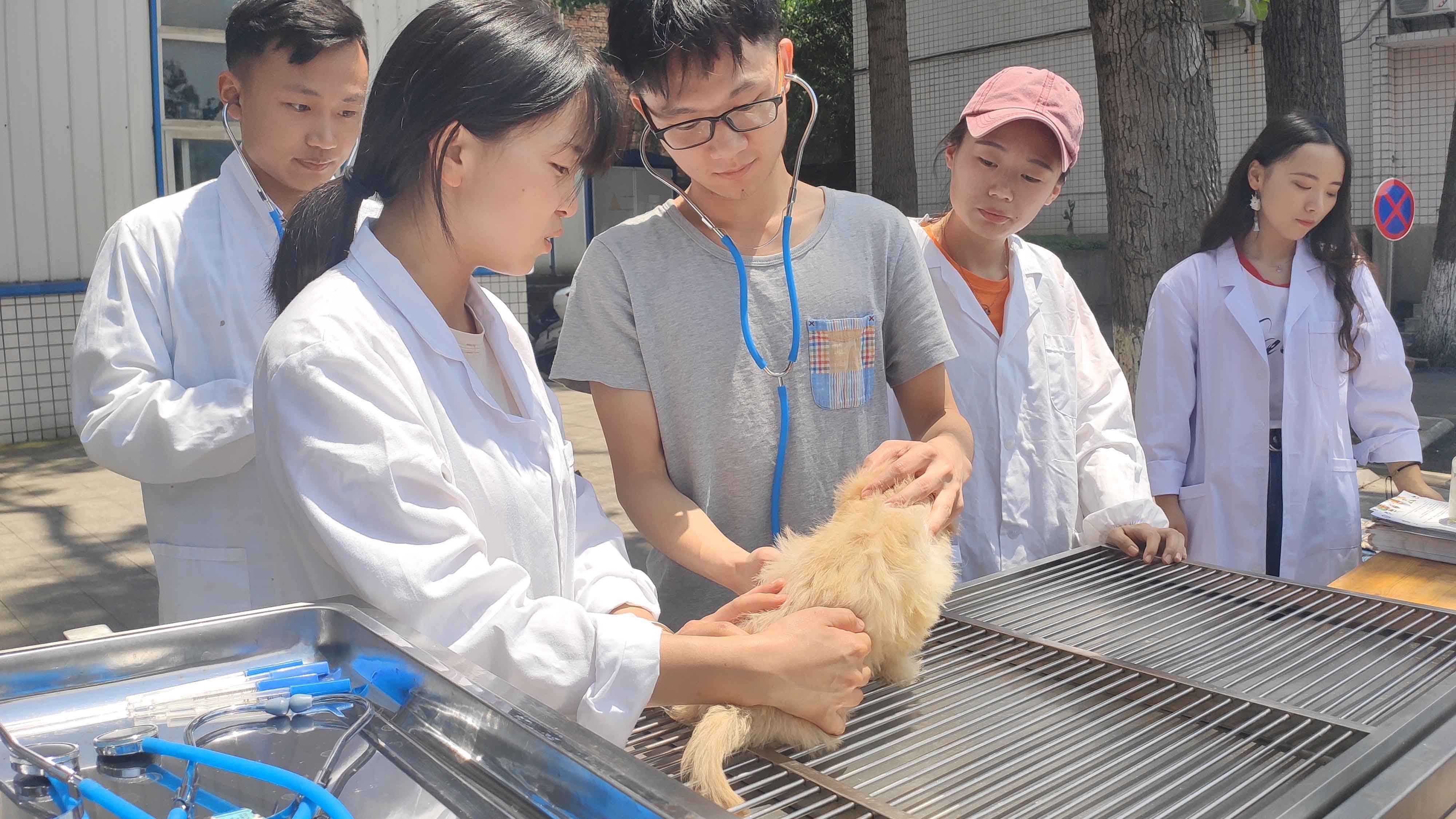 科技活动月-宠物爱心检查