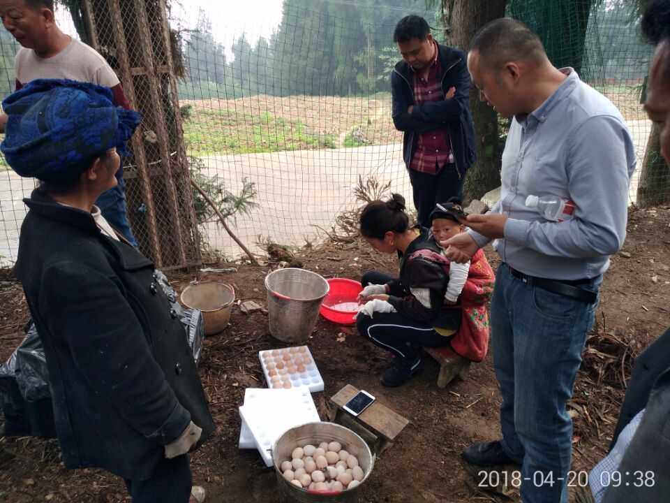 QQ图片20180426100529