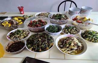 说明: 微信图片_20200506195314.jpg