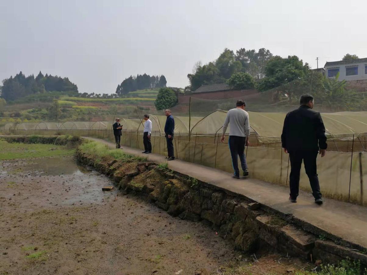 efbc59cecf4e3d077fb13869c896338