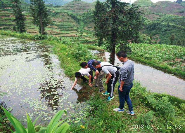 QQ图片20180531114712