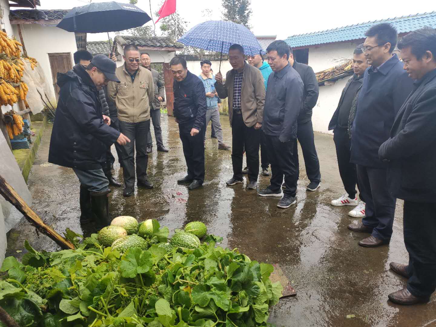 6a8b5f909393efef0e539a3d7b9f590