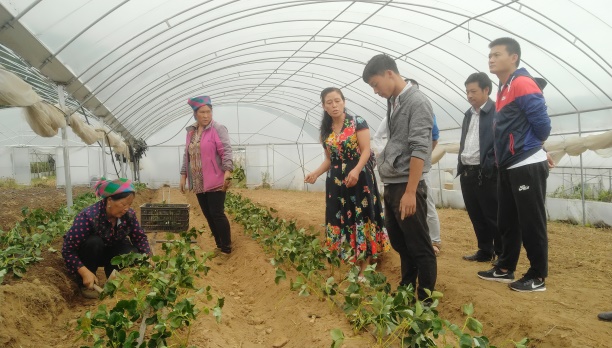 IMG_20180803_102223R