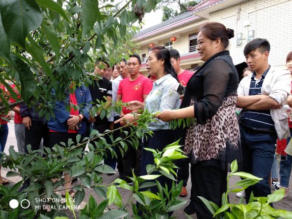 QQ图片20180601101652