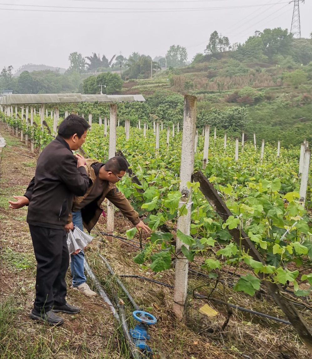 说明: C:\Users\ybzy\Documents\Tencent Files\460856063\Image\ImageEditor\20210411183248.png