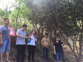 QQ图片20190428164807