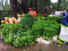 mmexport1571632882170